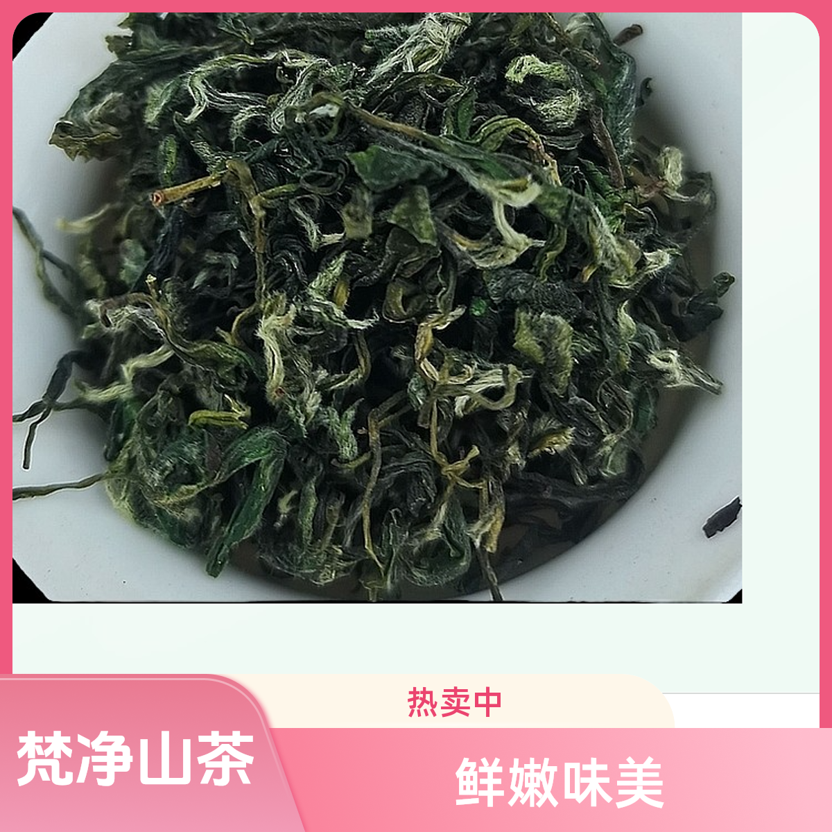 贵州梵净山绿茶明后新茶鲜叶春茶栗香