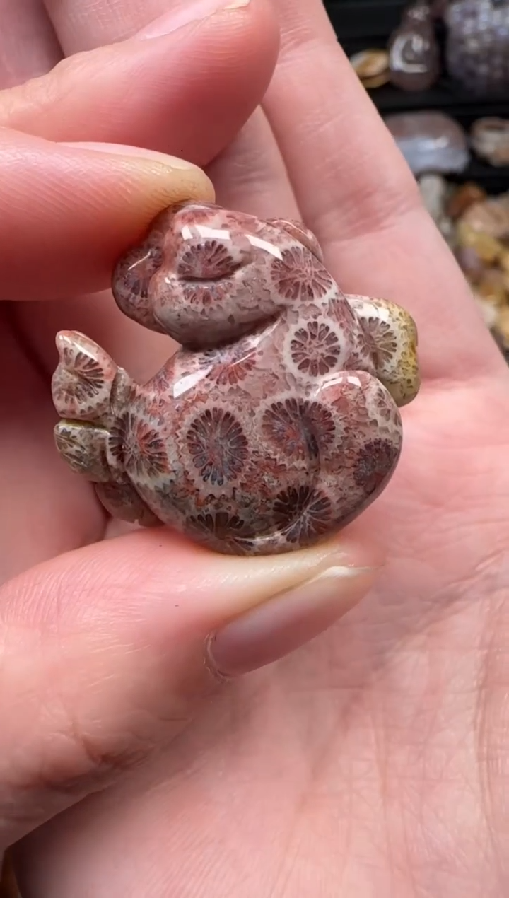 颈饰未镶嵌硅化珊瑚（珊瑚玉）680