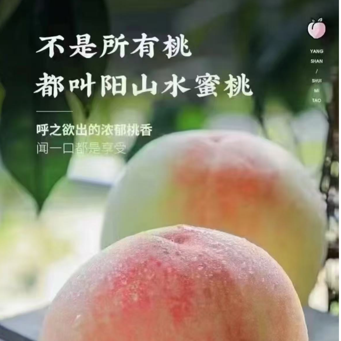 A正宗阳山水蜜桃当季新鲜水果脆软甜多汁5-4两到手16颗装桃子桃子同城送江苏省