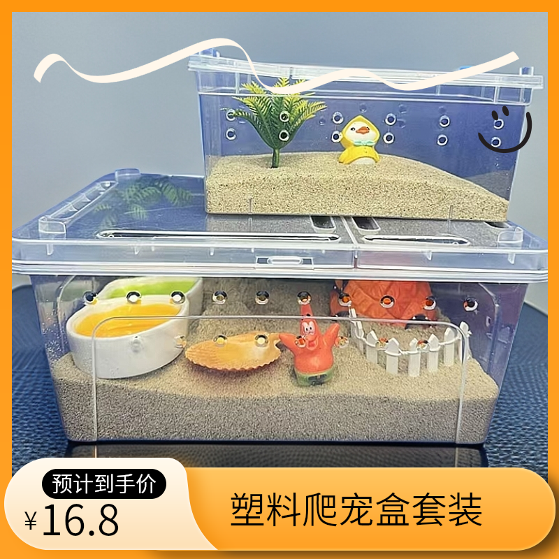 寄居蟹沙蟹塑料爬宠饲养盒套装中号小号办公室居家宿舍懒人宠物盒