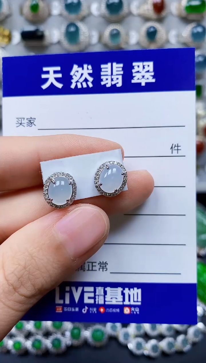 【闪购商品】翡翠银S925镶嵌耳饰0298