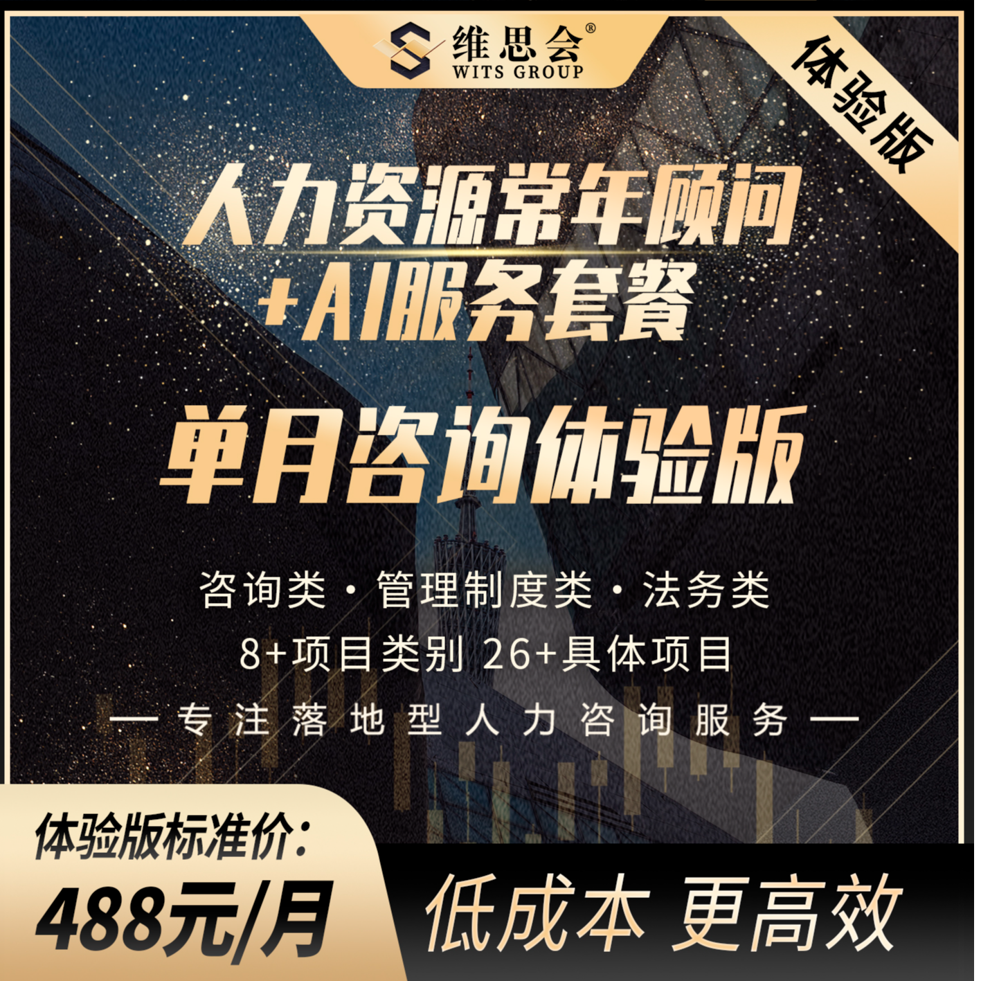 人力资源常年顾问+AI服务套餐（单月咨询体验版）