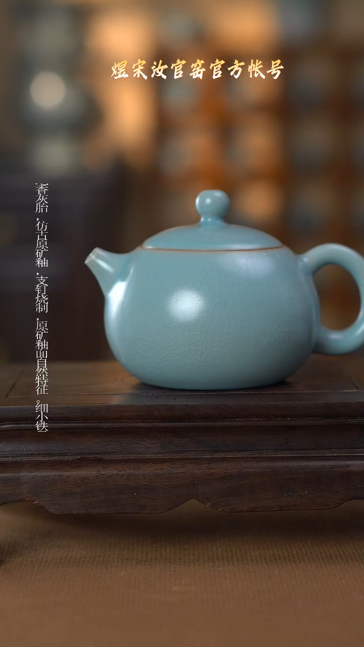 【闪购商品】盘壶浮力..............