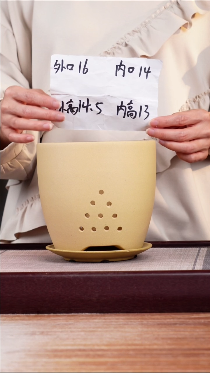 紫砂花盆段泥君子兰2号一只带托
