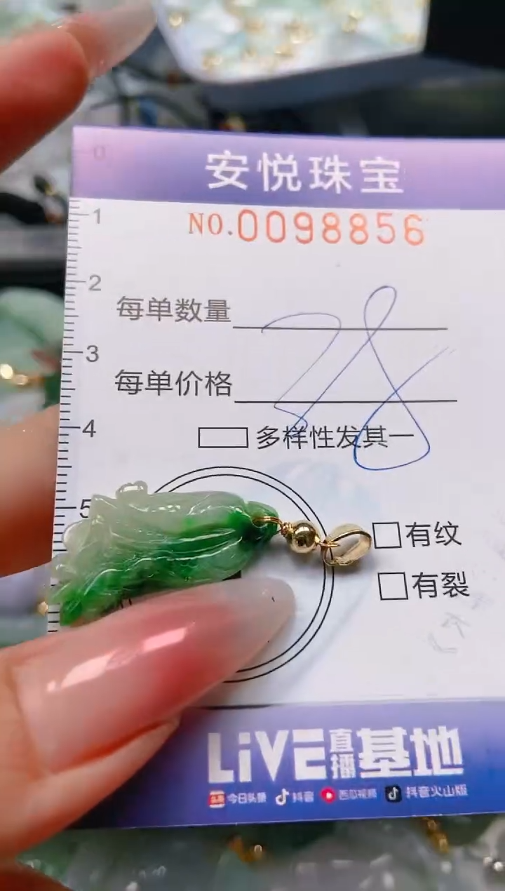 【闪购商品】翡翠颈饰未镶嵌闪购0098856