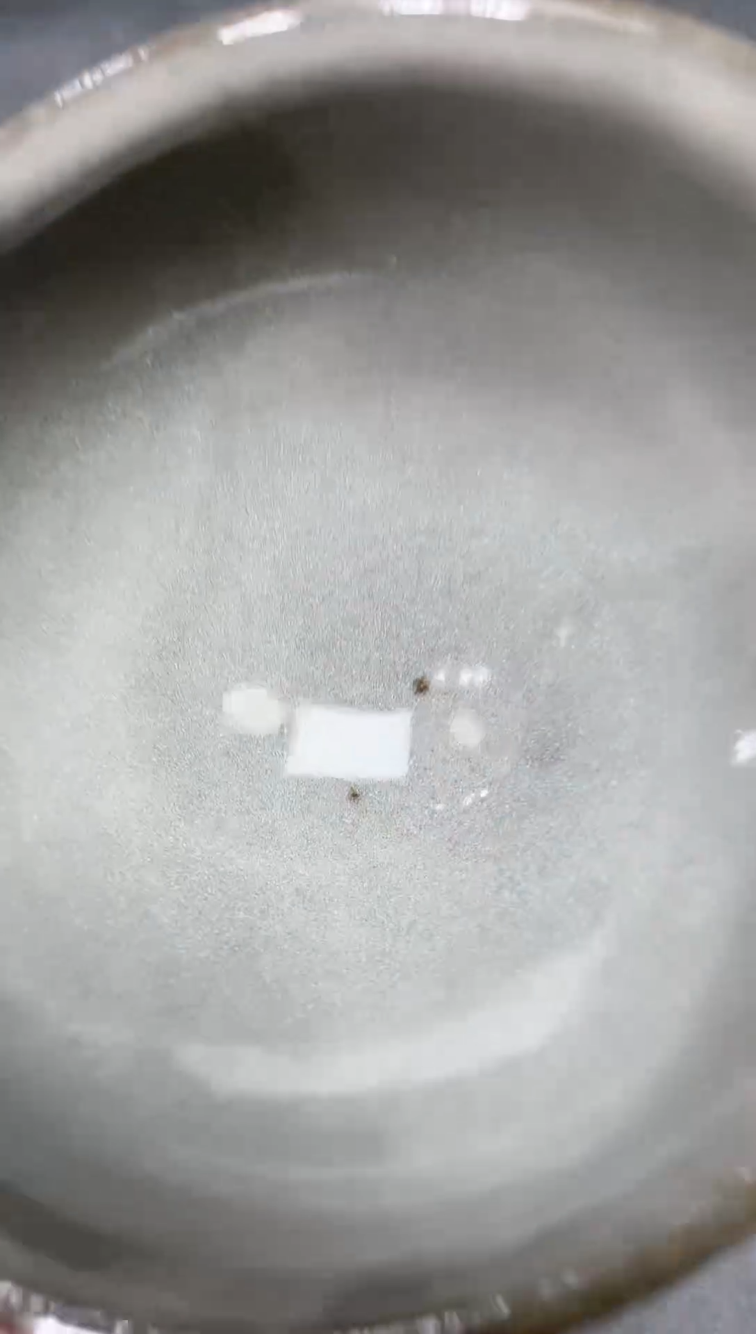 【闪购商品】茶盏217               