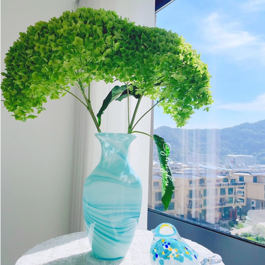 【可做干花】安娜绣球A级超大室内鲜花家居办公插花水养插花鲜切支