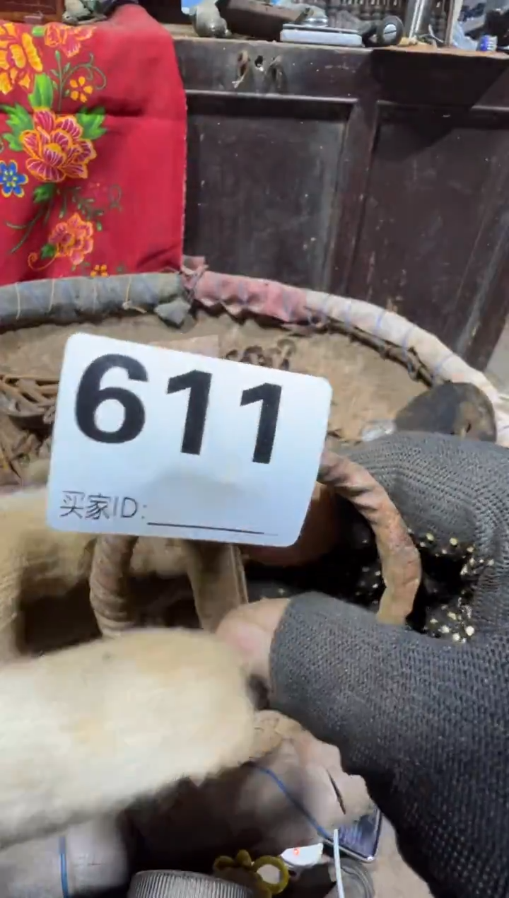 茶*舒08180老王直播间专属链接