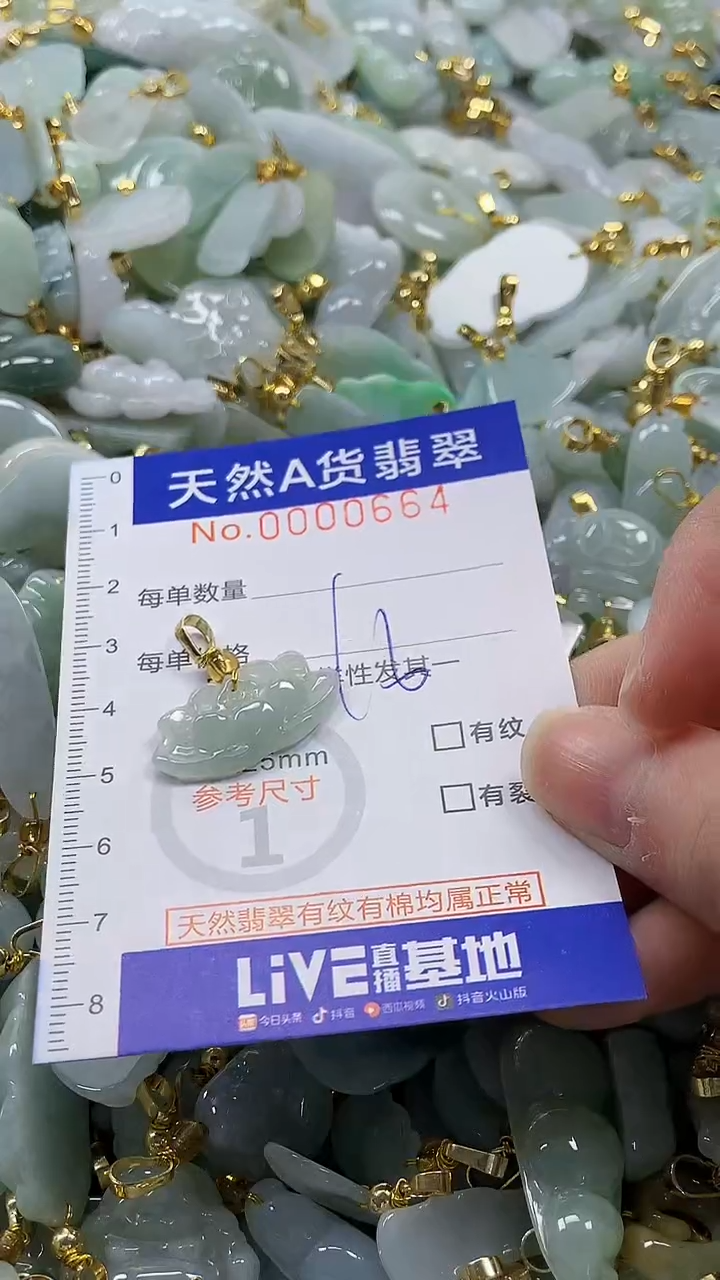 颈饰未镶嵌翡翠纯天然a货翡翠