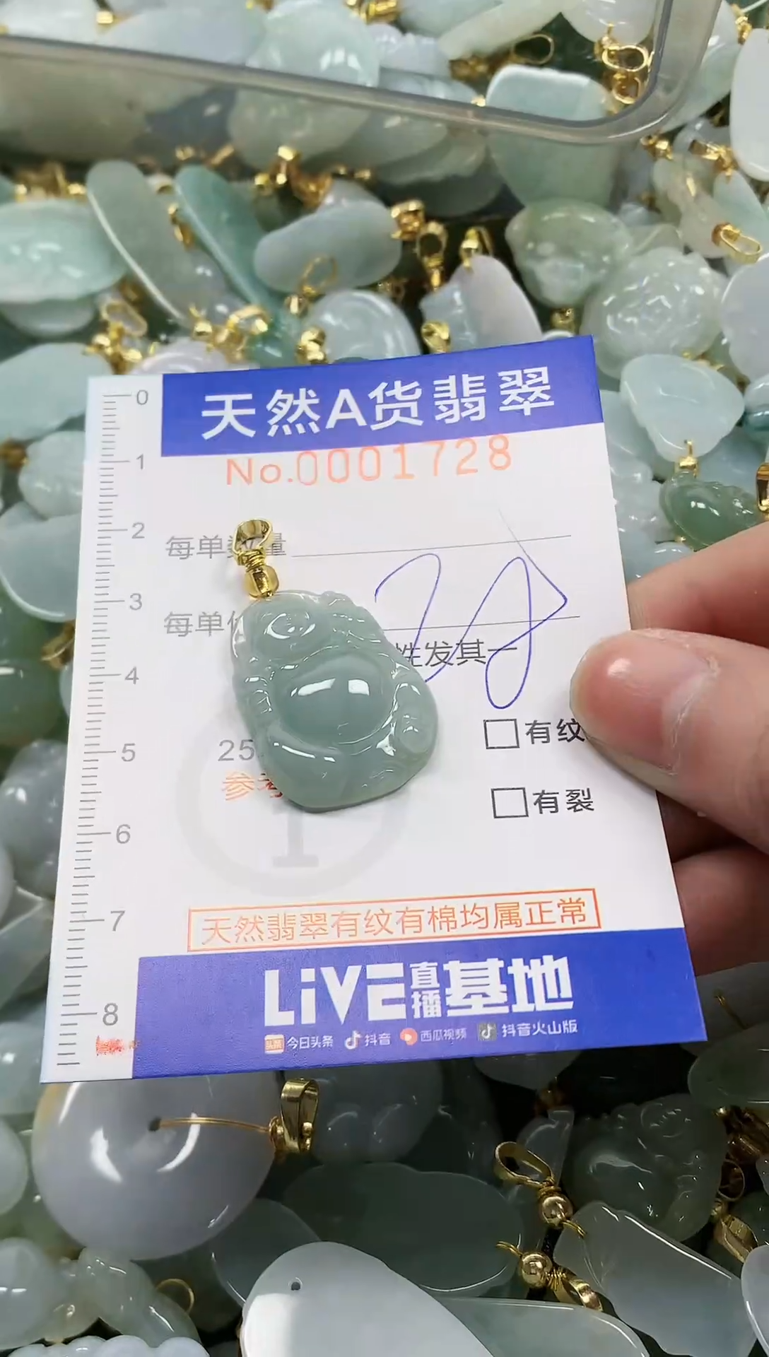 颈饰未镶嵌翡翠纯天然a货翡翠