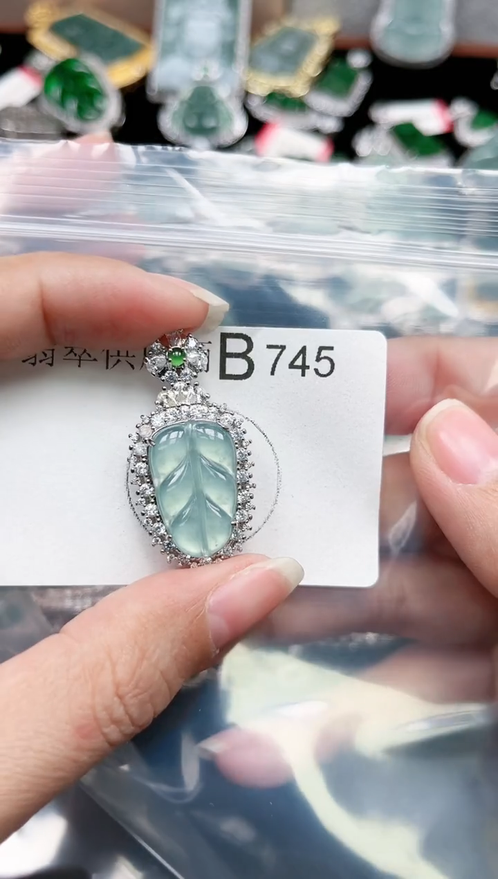 【闪购商品】翡翠颈饰未镶嵌赠皮绳745