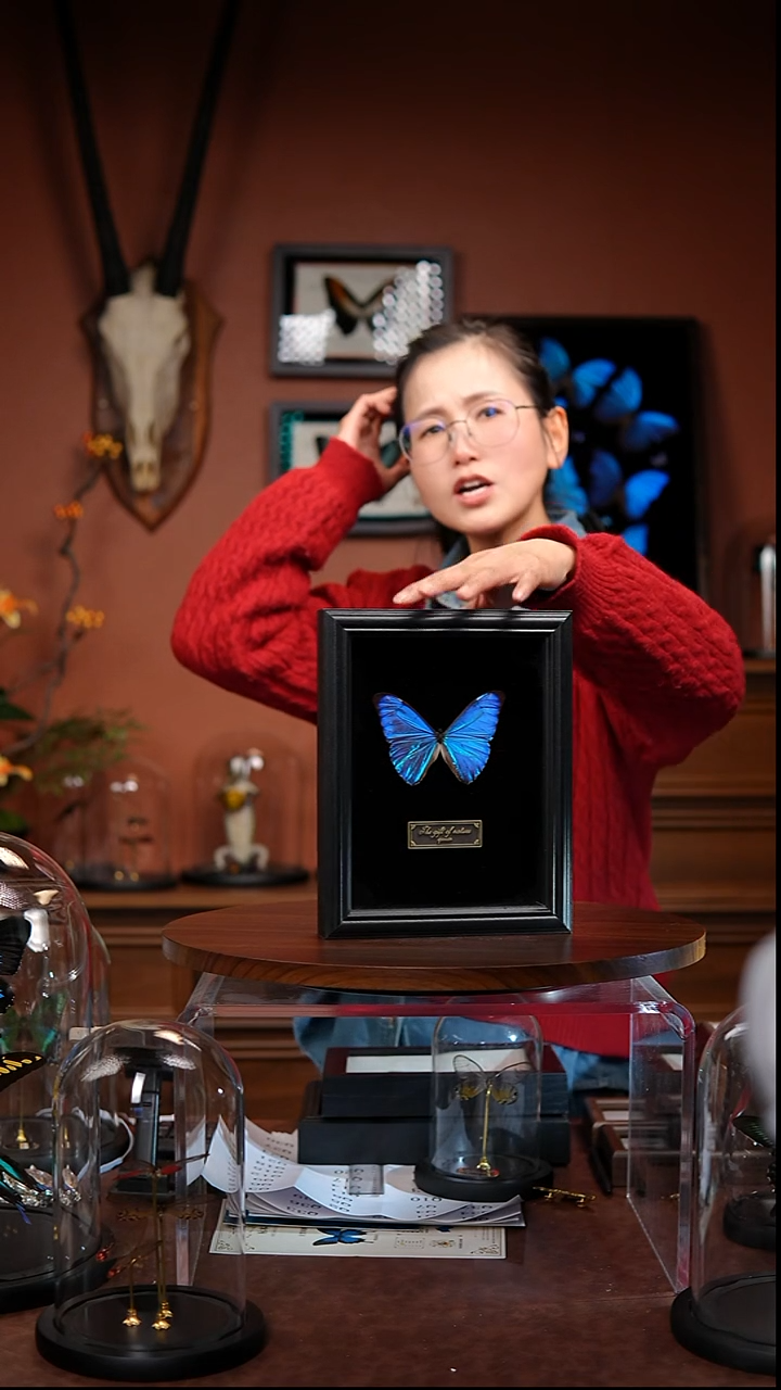 宇*?R233     黎明闪蝶