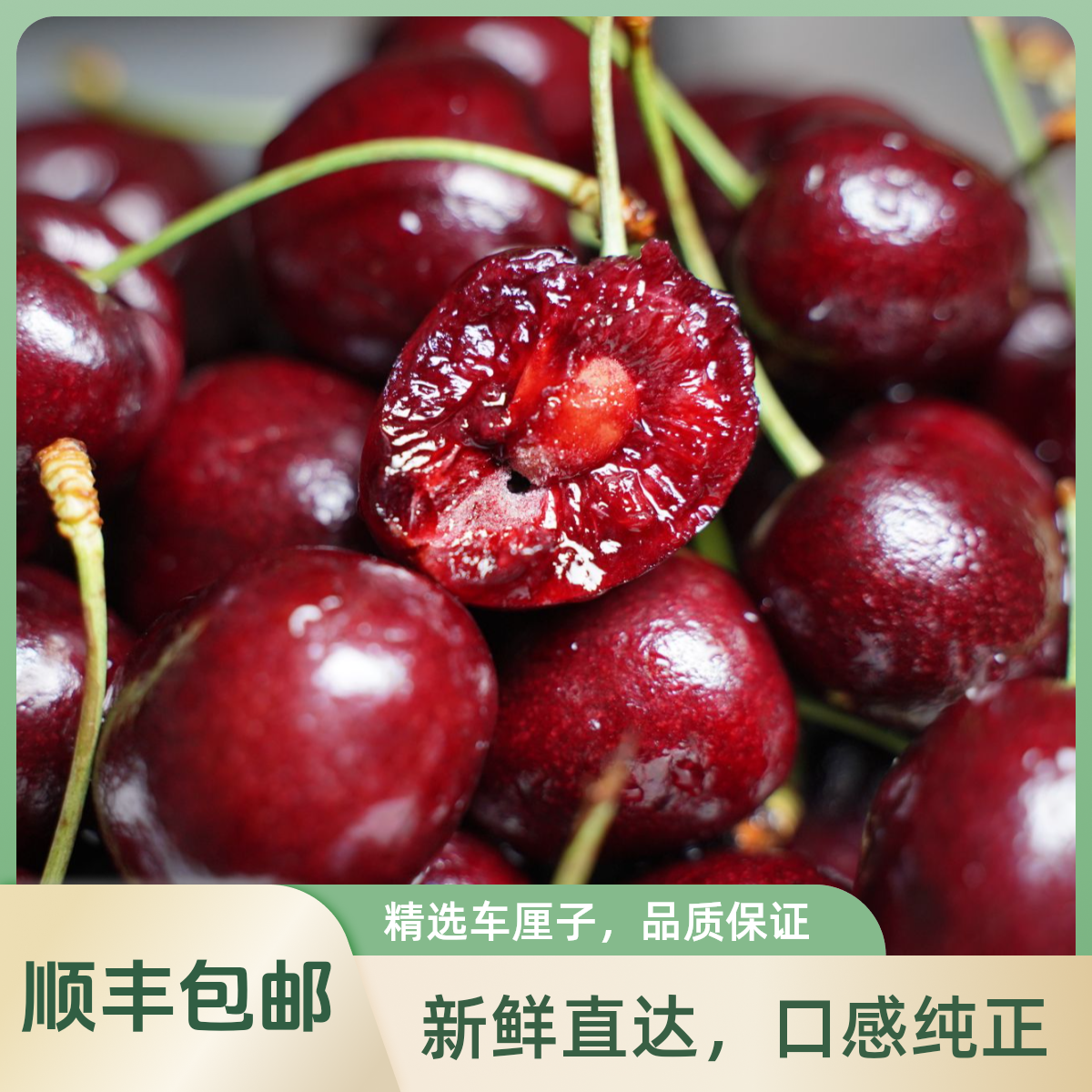 【顺丰包邮】智利海运科迪亚车厘子JDD，1斤试吃装 内附果径卡