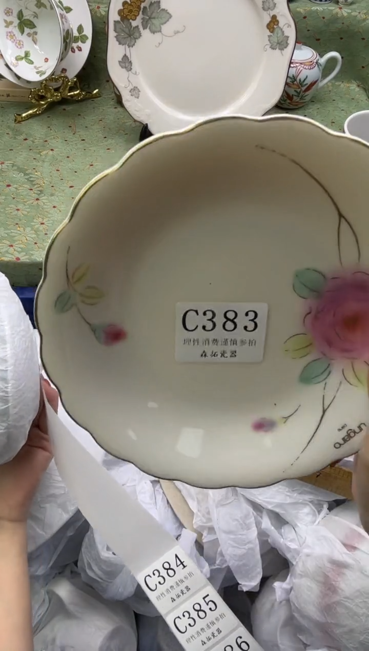 瓷片莲*       C383