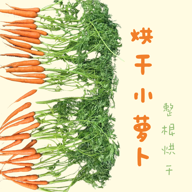 积木兔屋烘干胡萝卜樱宠物干草兔子荷兰猪辅助零食草一株仙草五根