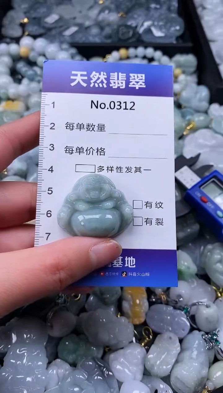 【闪购商品】翡翠颈饰未镶嵌缅甸A货翡翠0312