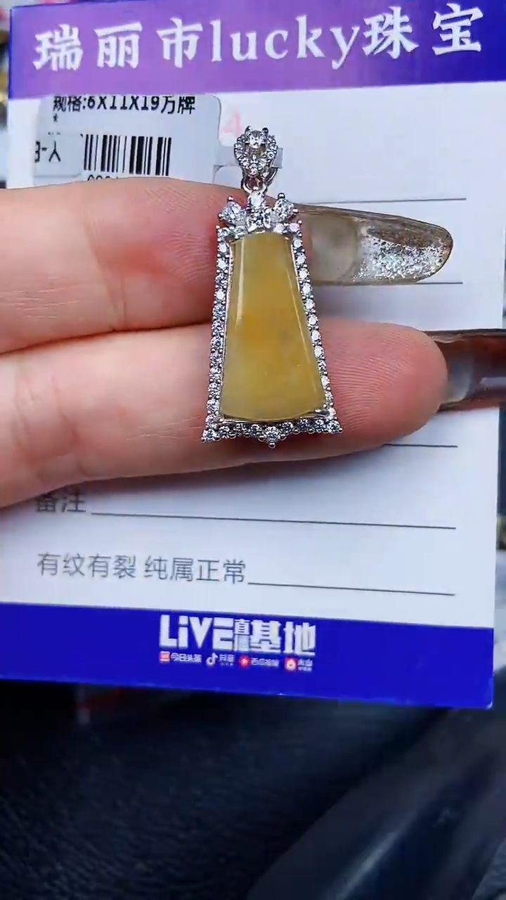 颈饰银S925镶嵌翡翠1744