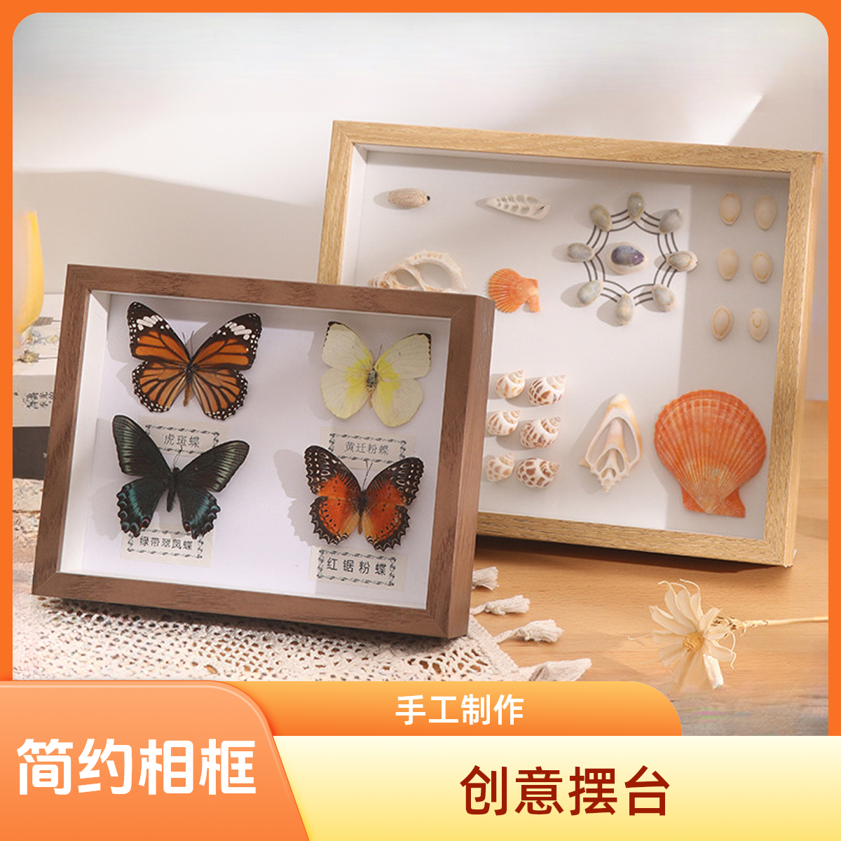 中空立体干花相框空框灯光摆台蝴蝶标本相框diy贝壳