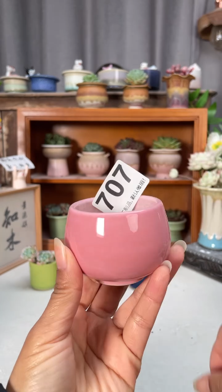瓷片707知木小芳花盆