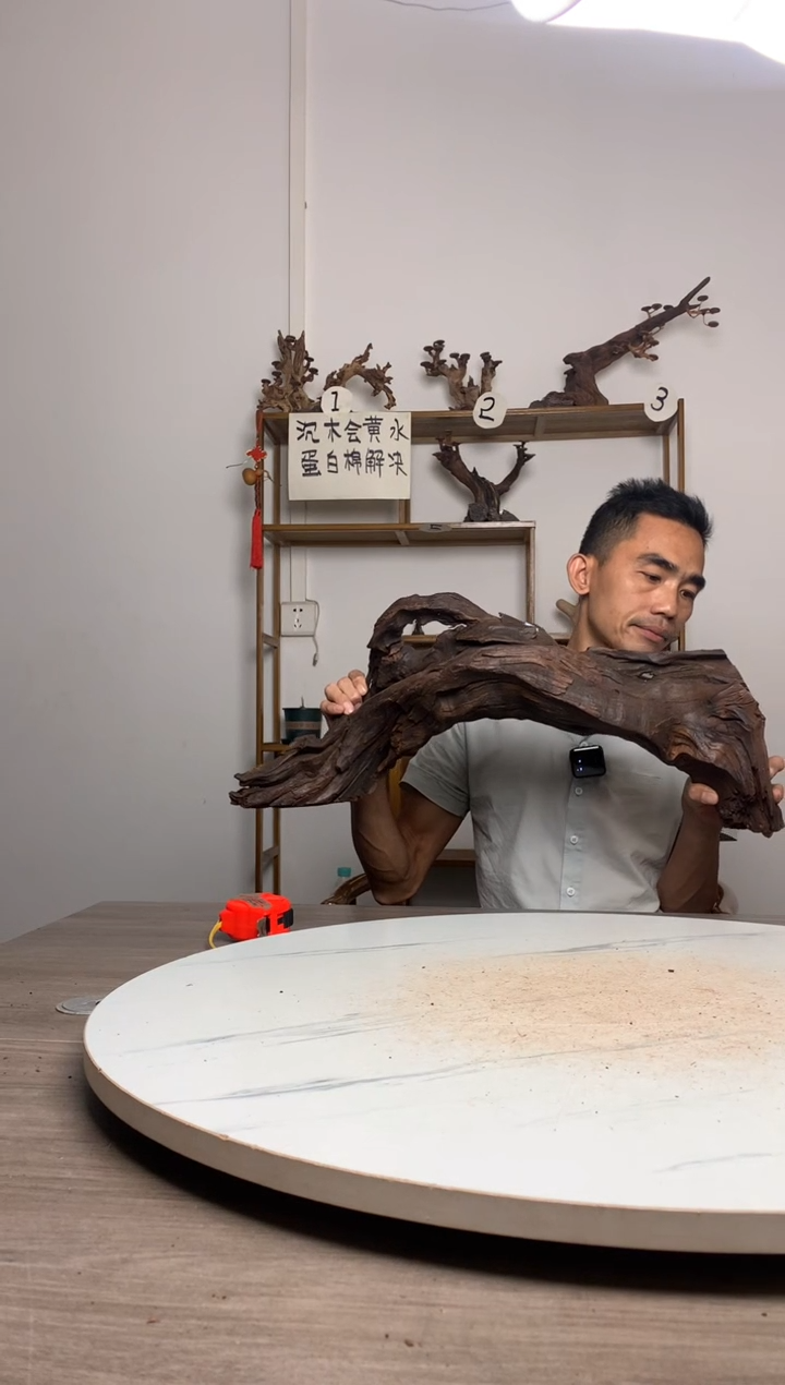 体****0鱼缸造景沉木摆件