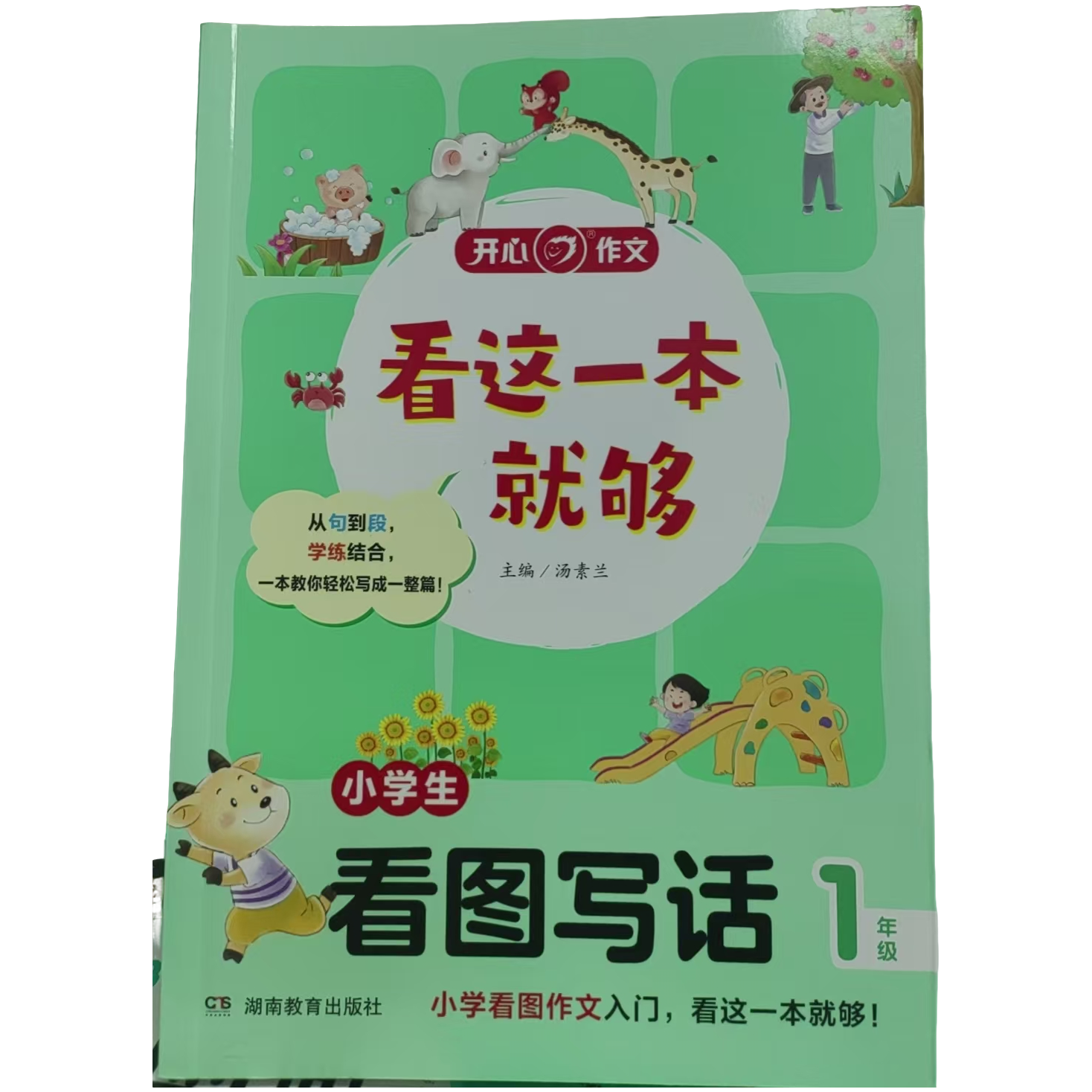 看这一本就够-小学生看图写话1年级