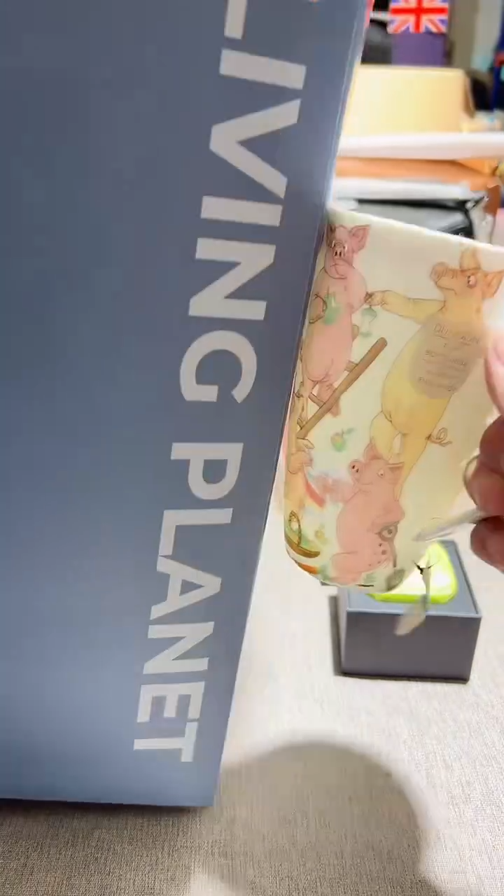 【闪购商品】瓷片正品保真，清库存