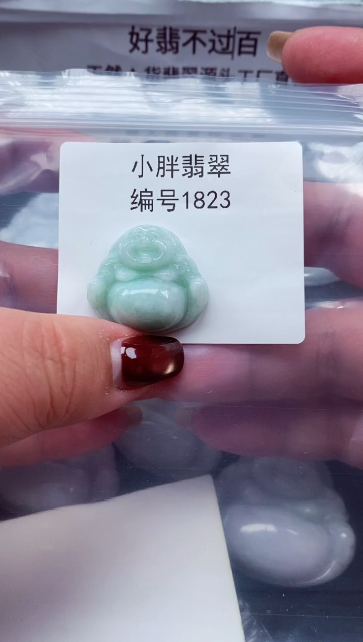 颈饰未镶嵌翡翠缅甸天然A货翡翠1823