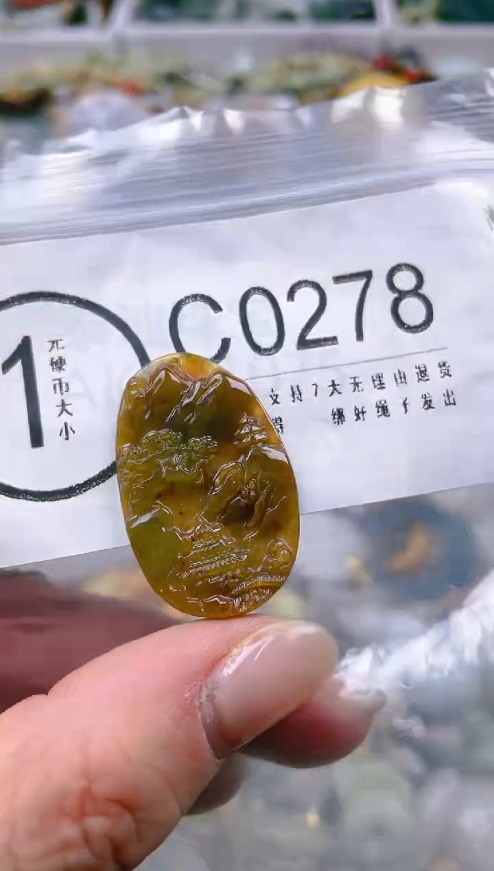 【闪购商品】翡翠颈饰未镶嵌/C/翡翠A货一图一物