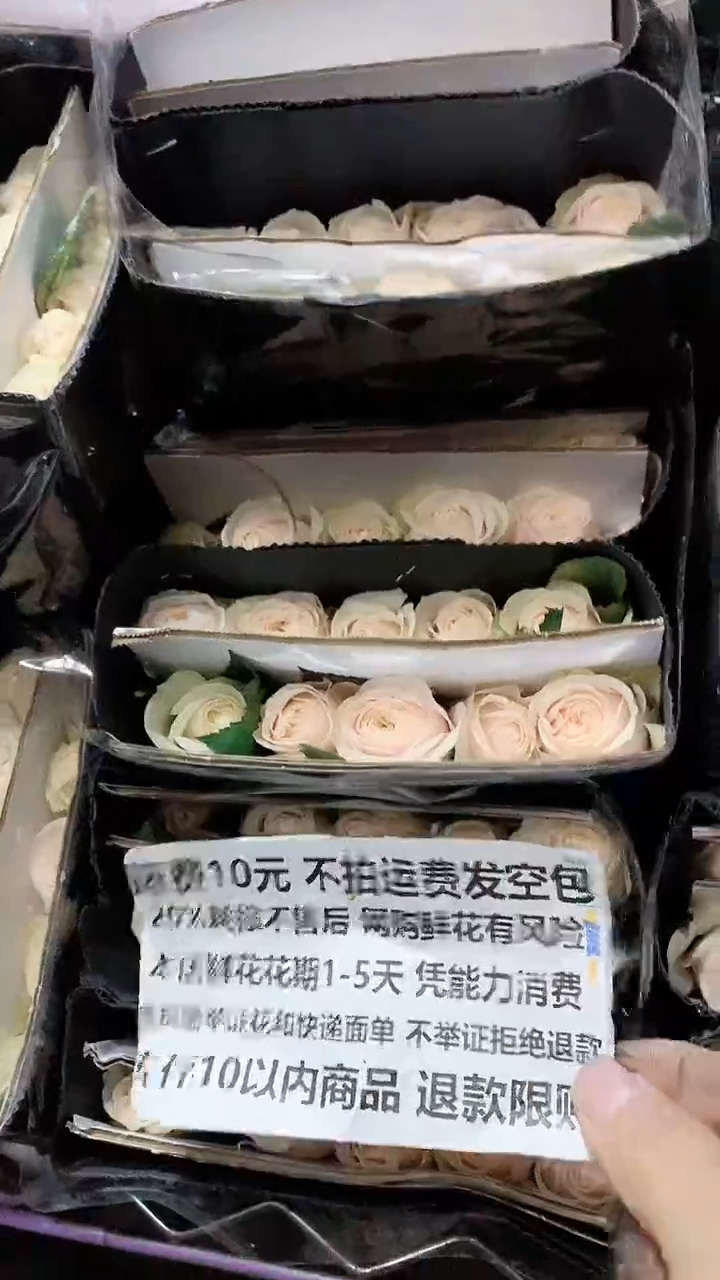  A2-2   达林顿20支20%耗损