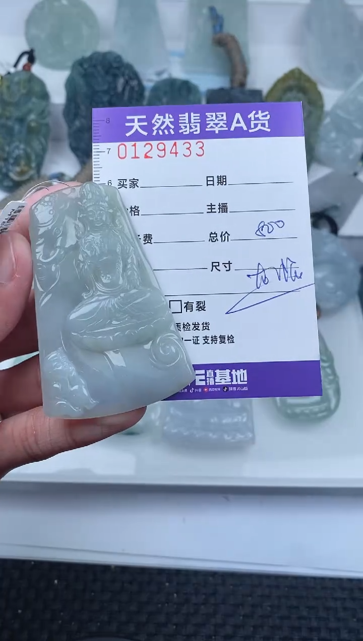 【闪购商品】翡翠颈饰未镶嵌         433