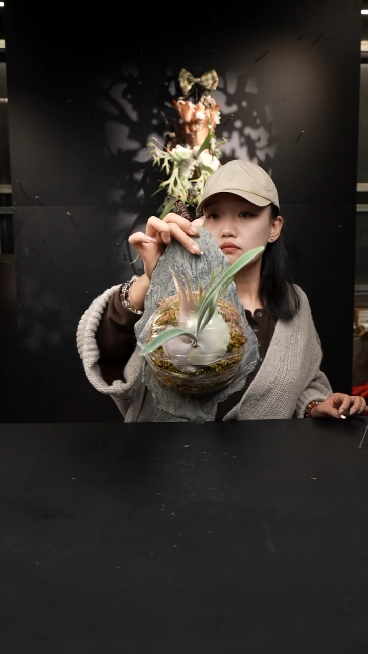 不开花植物LC1224 -03 K银