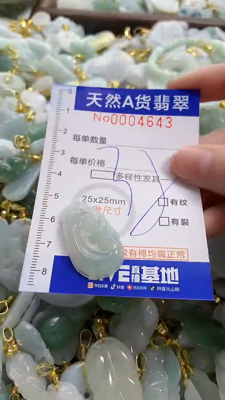 颈饰未镶嵌翡翠天然A货翡翠