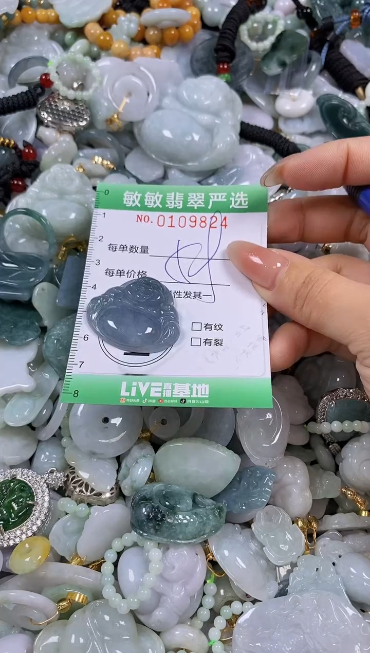 【闪购商品】翡翠颈饰未镶嵌闪购0109824