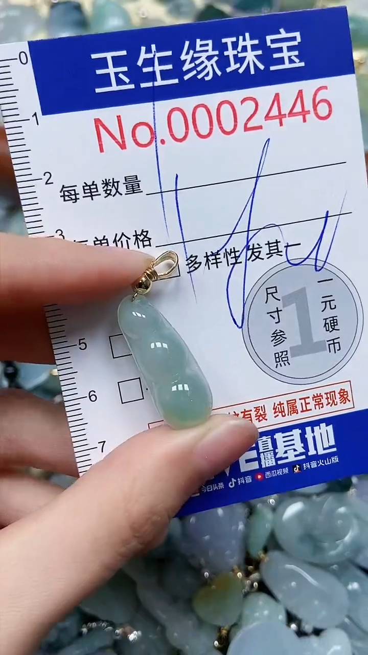 【闪购商品】翡翠颈饰未镶嵌闪购00002446