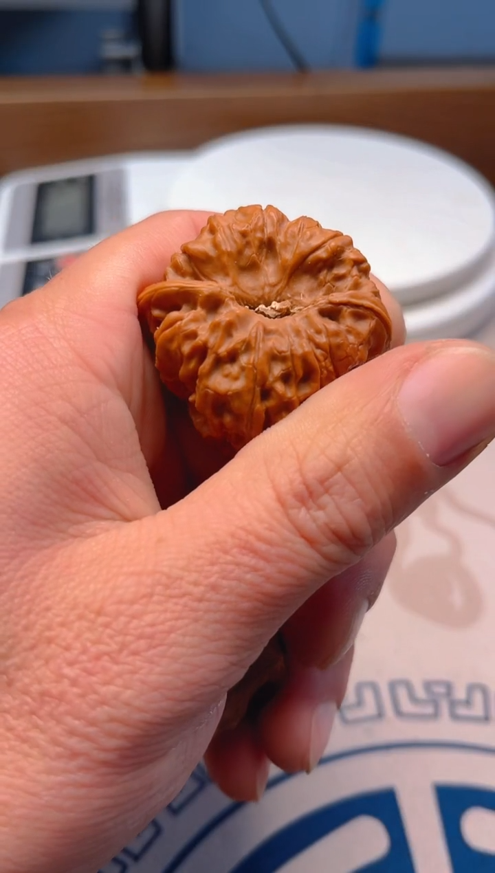 【闪购商品】文玩核桃把件41平谷凹底