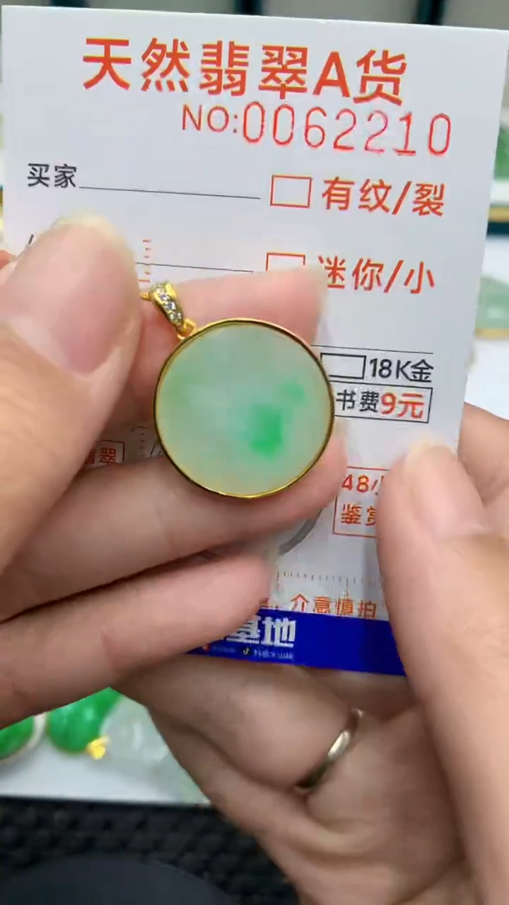 【闪购商品】翡翠颈饰银S925镶嵌            8