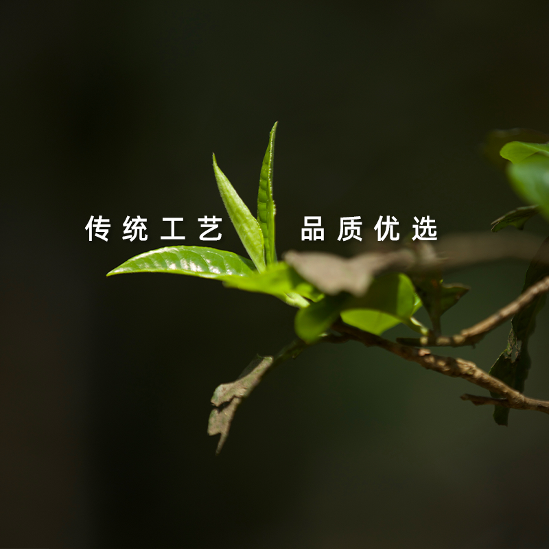 限1【班章王子·200g】66张·生普·经典生茶. 普洱茶（生茶）紧压茶
