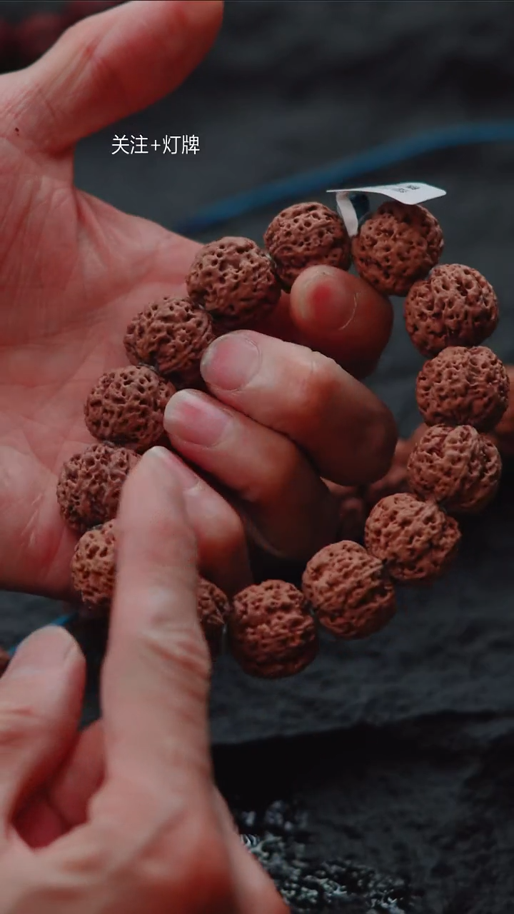 手串金刚菩提原生态超头LJ2【龙爪蜂】18尺