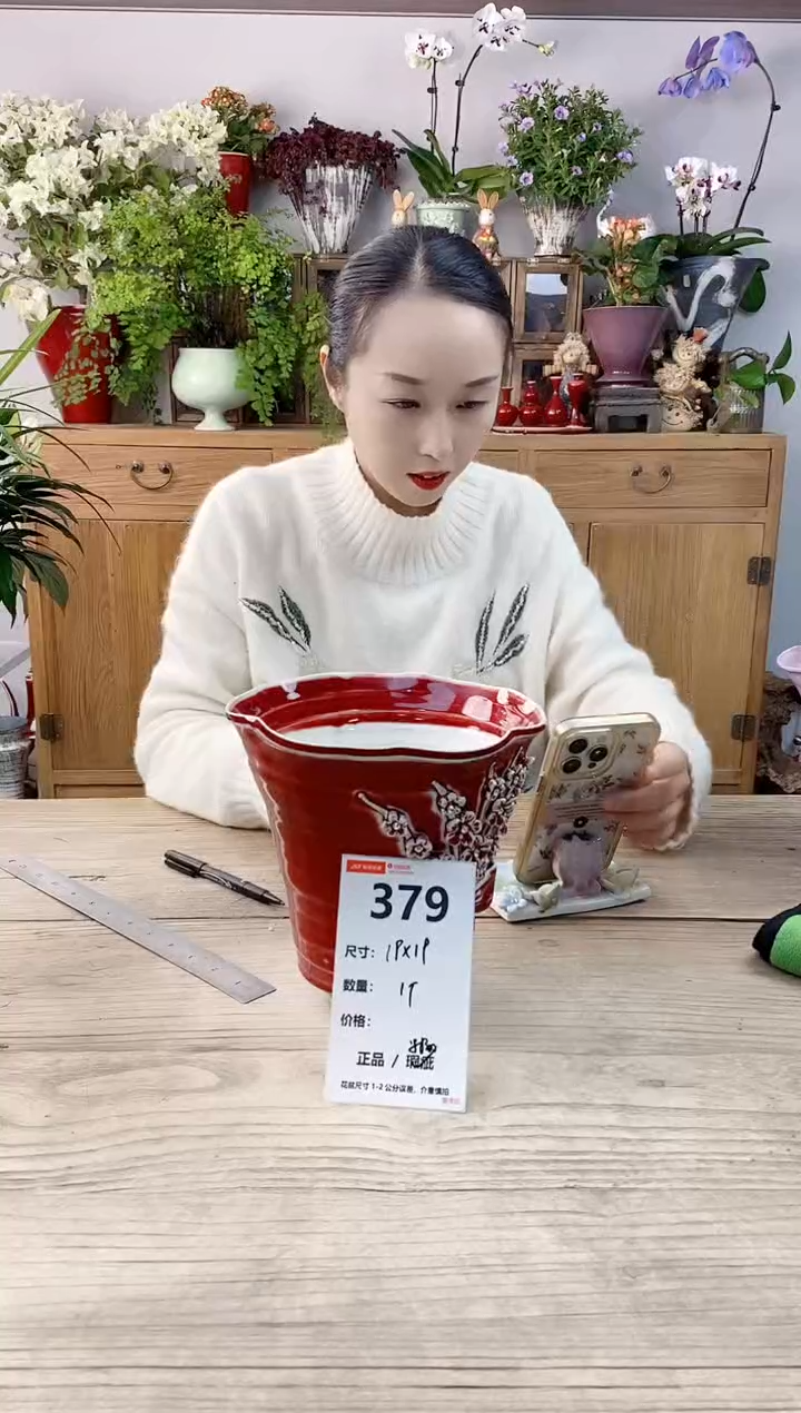 小玩子花盆直播编号379