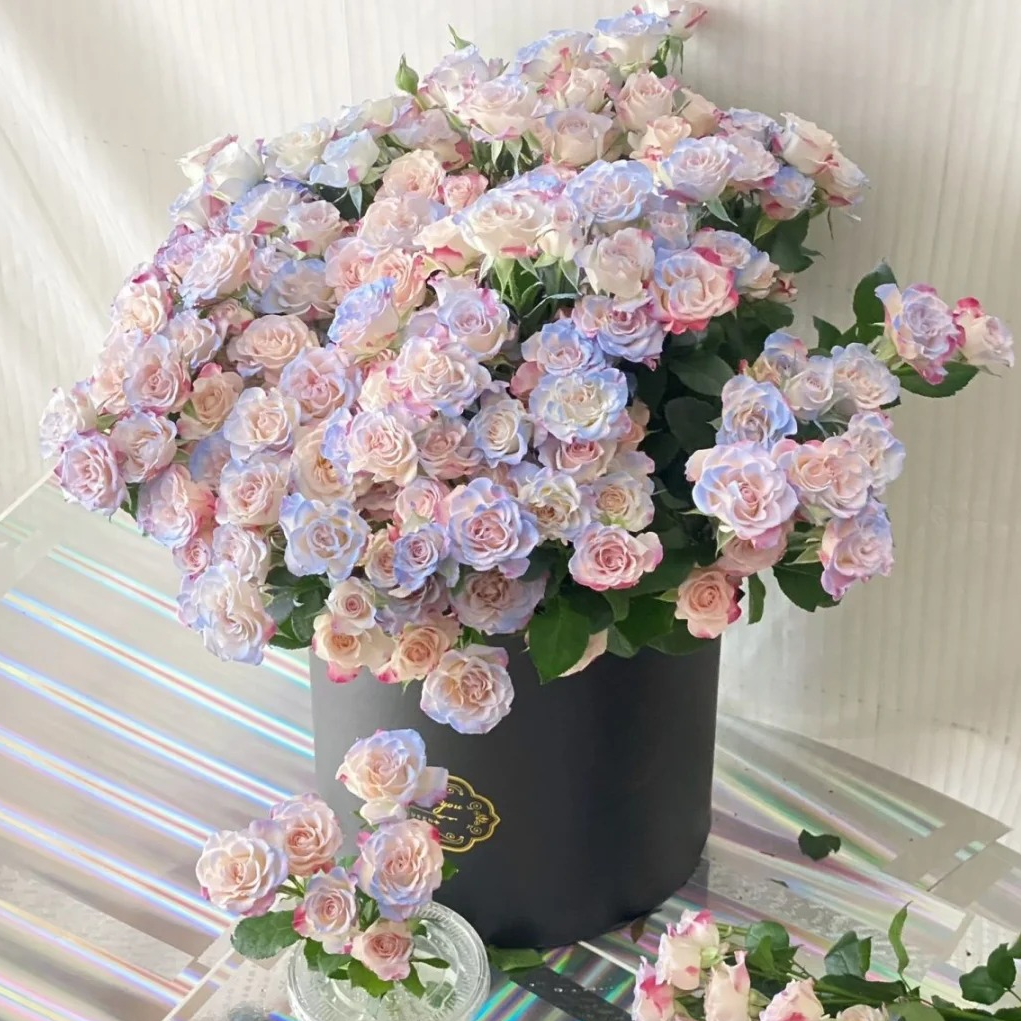 【云南基地直发X】折射泡泡玫瑰 室内水养鲜花 云南基地直发