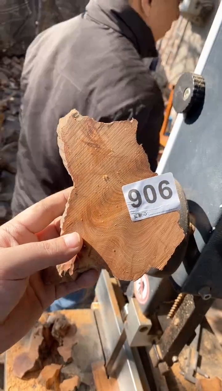 【闪购商品】柏木太行山陈化崖柏（津诚林）切片