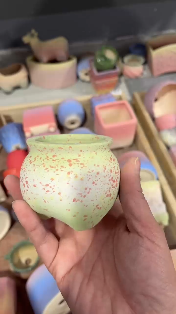 【闪购商品】陶内口  5 内高5