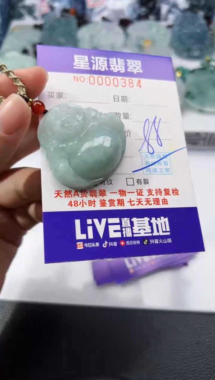 【闪购商品】翡翠颈饰未镶嵌吊坠多样性发一件