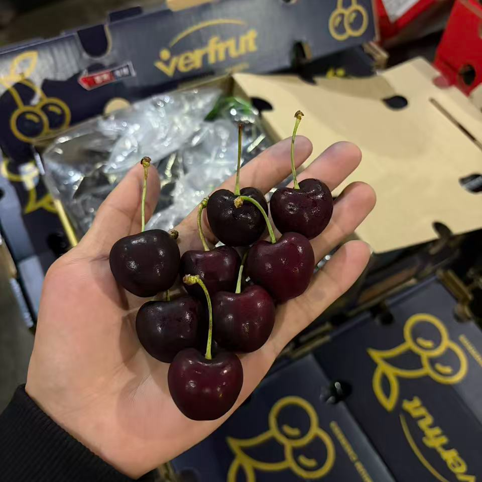 智利海运车厘子五斤JJJ一等果12g~15克盒装五斤智利