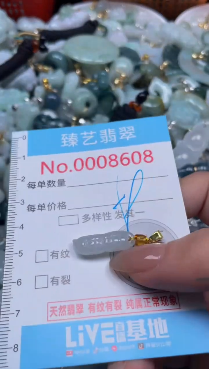 颈饰未镶嵌翡翠8608