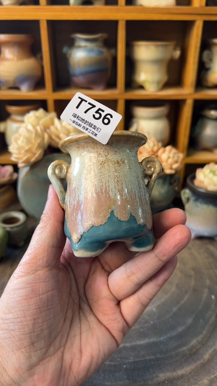 浅***念756【多肉花盆多肉盆】