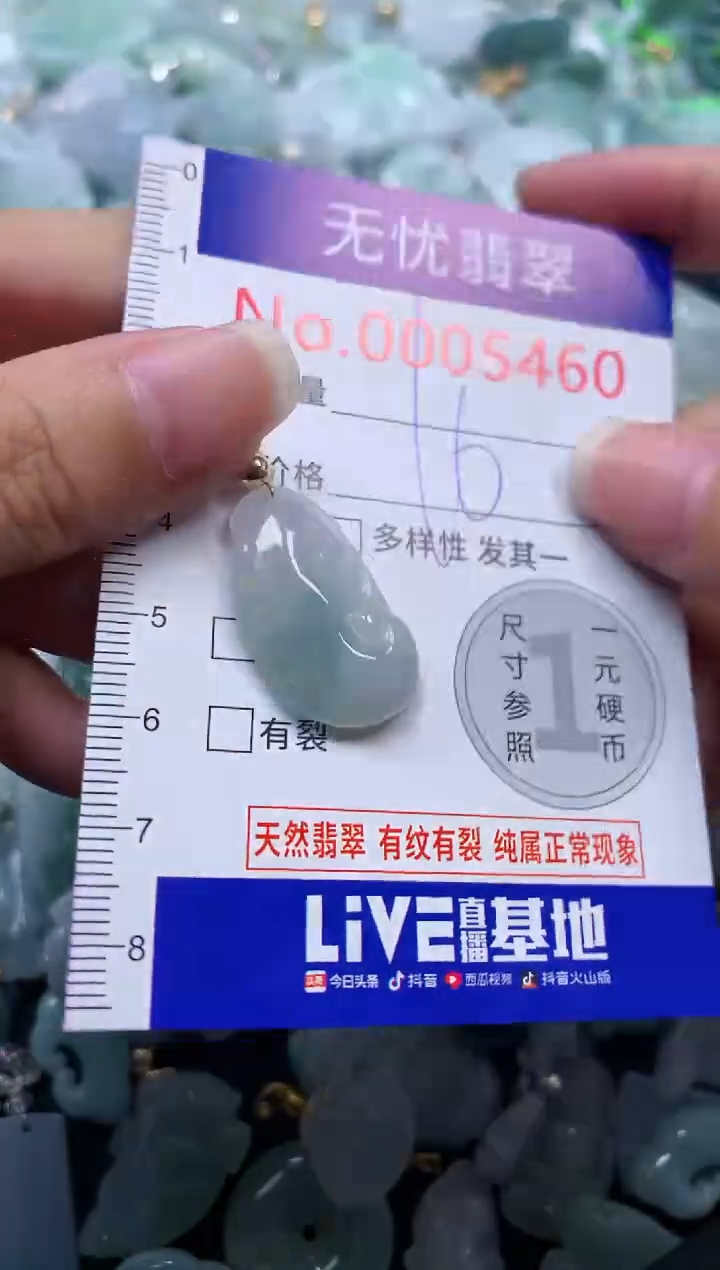 颈饰未镶嵌翡翠5460