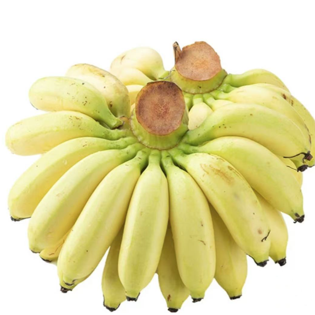 5斤【礼盒装皇帝蕉】正宗广西荔浦小米蕉皇帝蕉香蕉5斤装新鲜泰国皇帝蕉广西壮族自治区