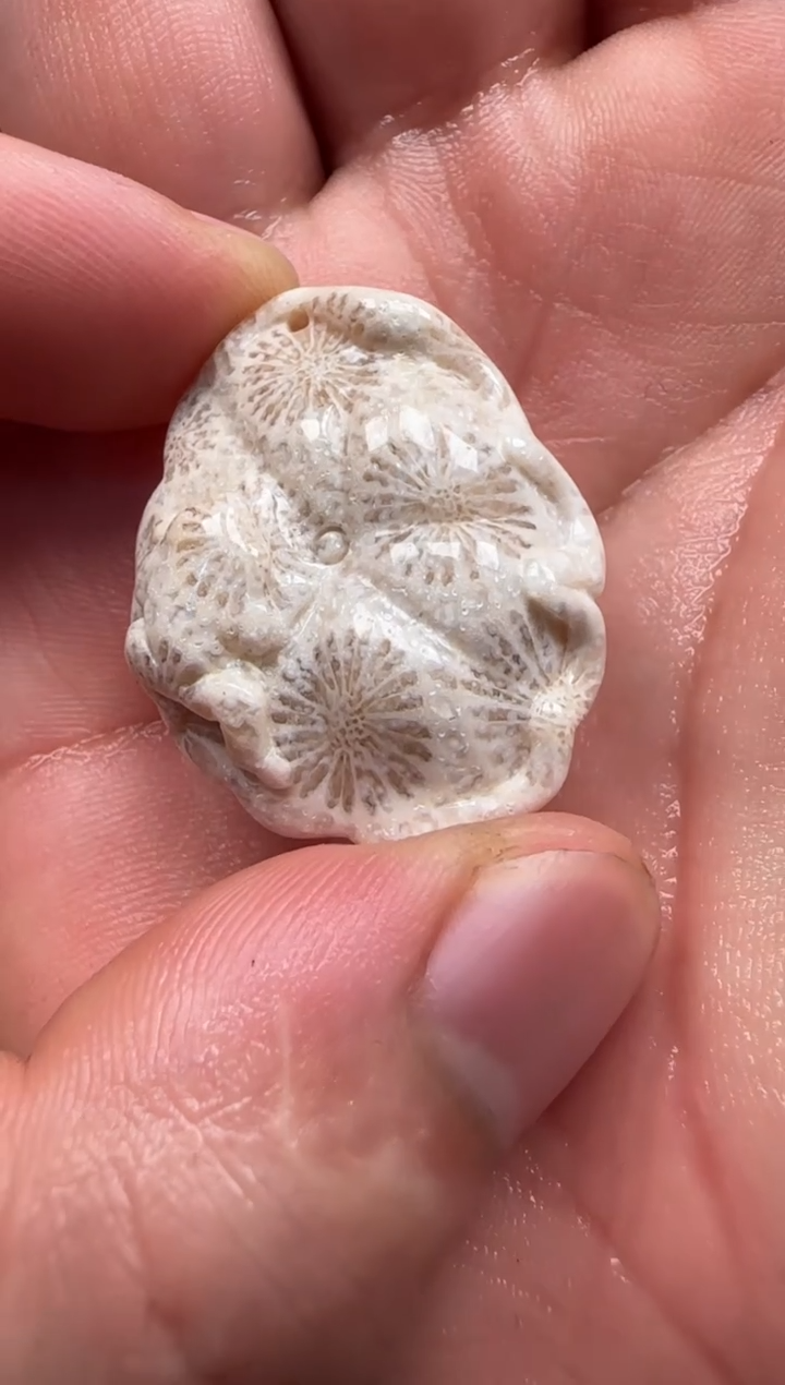 【闪购商品】硅化珊瑚（珊瑚玉）颈饰未镶嵌474