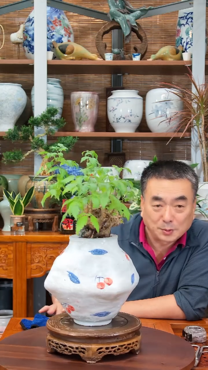 无花朵໑****꧔水之韵水培黄荆